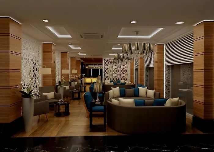 ホテル Selcukhan 4*